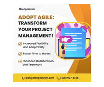 Streamline Your Projects with Orangescrum Agile PM Software - Try It Now!