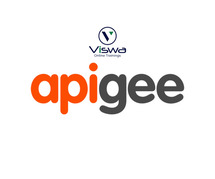 APIGEE Online Training Course Free with Certificate