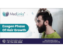 Exogen Phase of Hair Growth