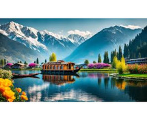 KASHMIR TULIP FESTIVAL PACKAGE