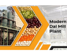 How to Establish a Dal Mill Plant to Expand Your Grocery Business?