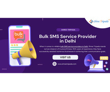 Bulk SMS Service Provider in Delhi