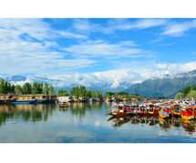 KASHMIR TULIP FESTIVAL 2025 PACKAGES