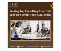 Seeking Top Consulting Expertise? Look No Further Than BMGI India!