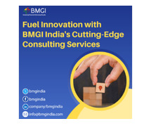 Fuel Innovation with BMGI India's Cutting-Edge Consulting Services