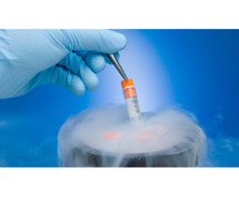 Egg Freezing in Hyderabad | Oocyte Cryopreservation - MTB