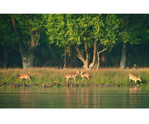 SUNDARBAN TOUR PACKAGE