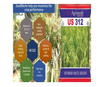 Hybrid Rice Seed Companies in India