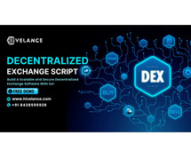 Launch Your Decentralized Exchange Today With Hivelance!