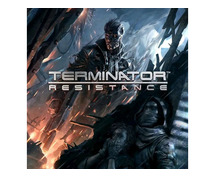 Terminator resistance