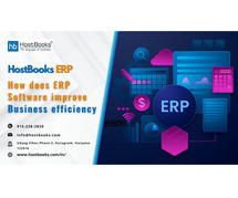 Simplify Business Management with Cloud ERP Platforms | HostBooks