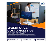 Workforce Cost Analytics solution