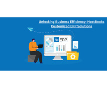 How HostBooks Customized ERP Software Can Simplify Business Operations