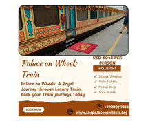 What makes Palace on Wheels a leading luxury train?