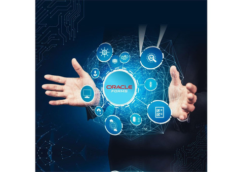 Top-notch Oracle APEX development services