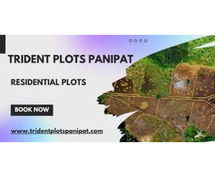 Trident Plots Panipat – Premium Residential Plots for a Modern Lifestyle