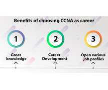 Are You Struggling with Networking Challenges? Discover How CCNA Can Be Your Solution!