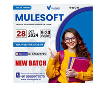 Online NEW BATCH On MuleSoft