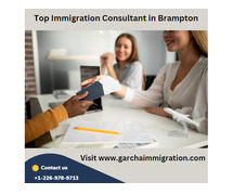 Top Immigration Consultants in Brampton You Can Trust