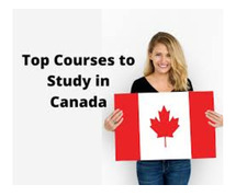 MSM Unify -  Reasons for Choosing the Best Course in Canada