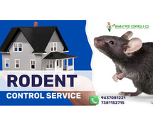 Reliable Rodent Control in Bhubaneswar for a Pest-Free Home