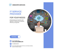 IT Service provider