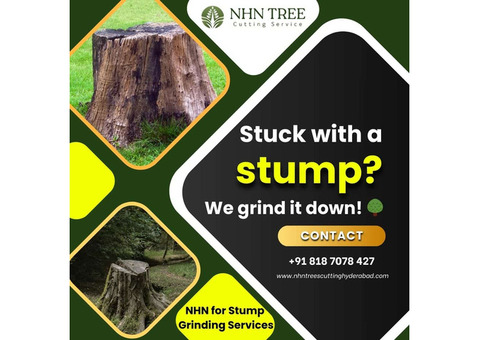 Tree Stump Grinding & Tree Care Services in Hyderabad: NHN Tree Cutting Hyderabad