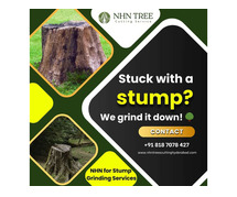 Tree Stump Grinding & Tree Care Services in Hyderabad: NHN Tree Cutting Hyderabad