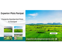 Build Your Future at Experion Developers Plots, Panipat