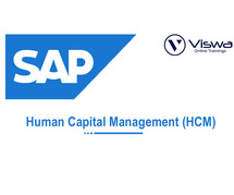 Best SAP HCM Online Training Institute in Hyderabad