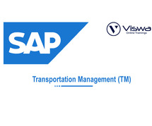 SAP TM Online Coaching Classes In India, Hyderabad