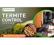 Reliable Termite Control Service in Bhubaneswar - Bharat Pest Control