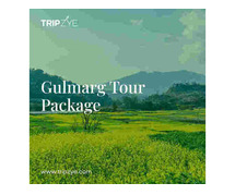 gulmarg kashmir tour package