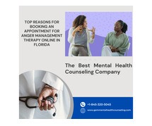 Top Reasons for Booking an Appointment for Anger Management Therapy Online in Florida