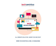 Web development company noida helps to create high appearing website