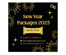 New Year Celebration in Manali | Best New Year Party Packages in Manali