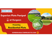 New launch Experion Panipat plots