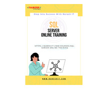 SQL Server Online Training