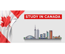 MSM Unify -Why Canada is the Top Study-Abroad Destination