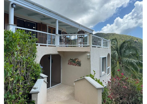 Villa Purchase in the Virgin Islands: Waterfront Homes on St. John USVI