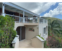 Villa Purchase in the Virgin Islands: Waterfront Homes on St. John USVI