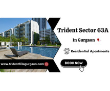 Eco-Friendly Apartments at Trident Sector 63A