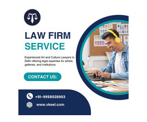 Art And Culture Lawyers in Delhi