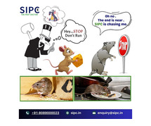 Pest Control Services in Bangalore | General Pest Control | SIPC