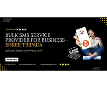 Top-Rated Bulk SMS Service Provider for Business