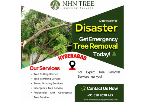 Emergency Tree Removal Services in Hyderabad - NHN Tree Cutting Services