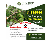 Emergency Tree Removal Services in Hyderabad - NHN Tree Cutting Services