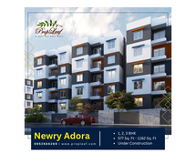 Newry Adora