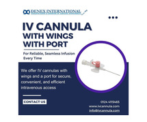 Ivcannula with wings with port