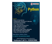 Master Python with Expert Training at Sunbeam Institute Pune